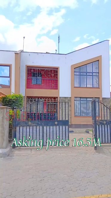 video image